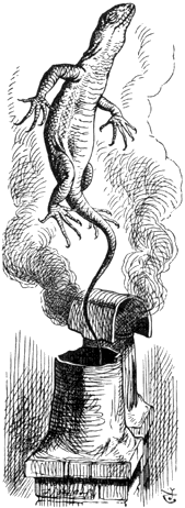 img-13