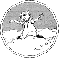 image-087