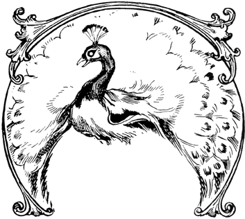 image-296