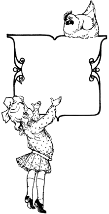 image-006