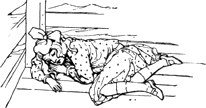 image-015