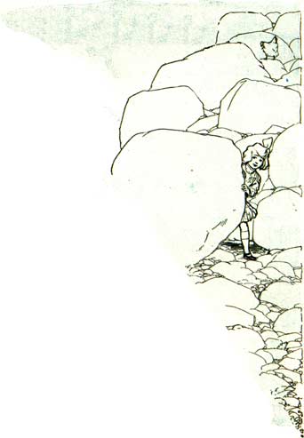 image-025