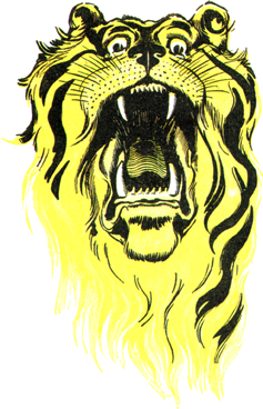 image-053