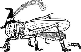 image-078