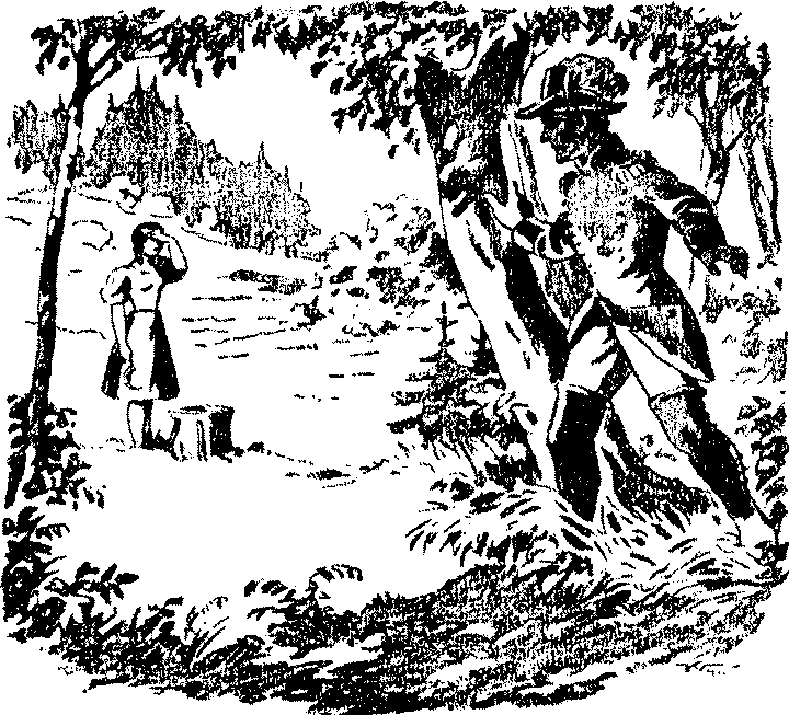 image-012