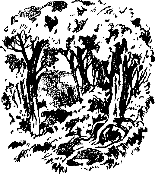 image-013